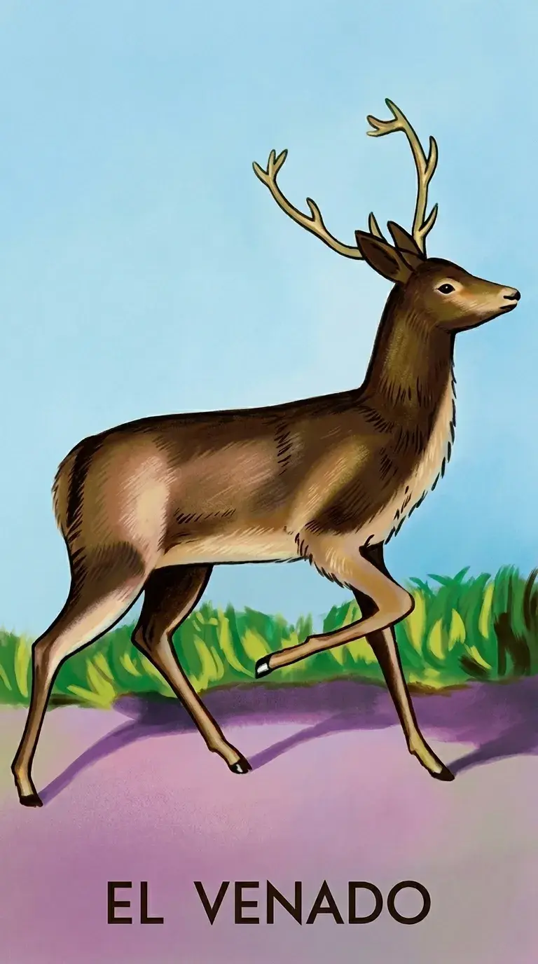 Carta 33 — El Venado