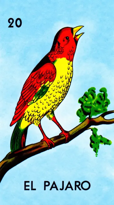 El Pájaro, carta 20 de la Lotería Mexicana