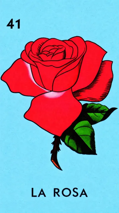 La Rosa, carta 41 de la Lotería Mexicana