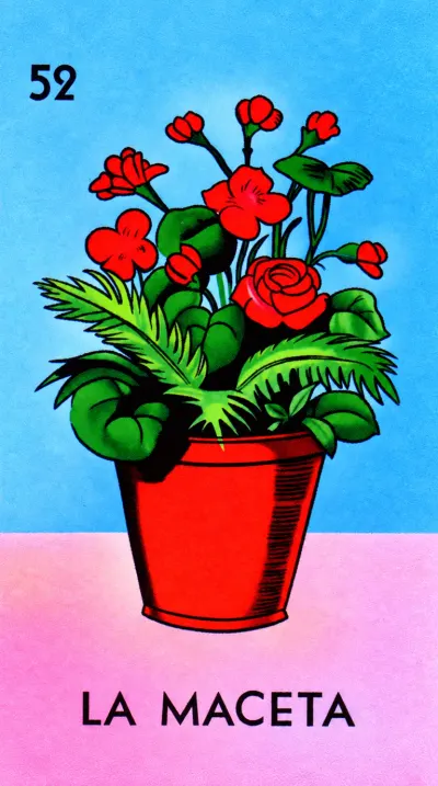 La Maceta, carta 52 de la Lotería Mexicana