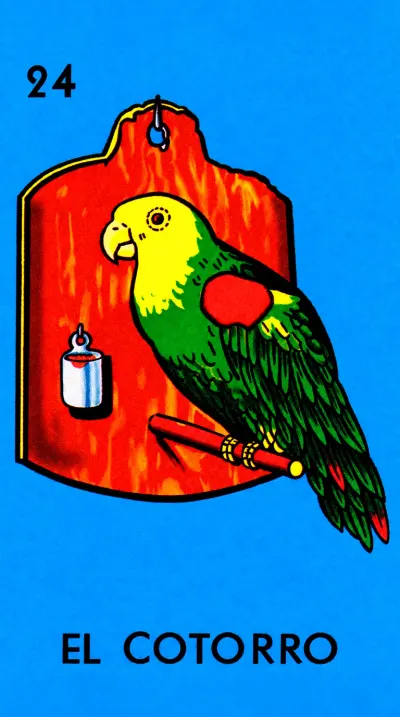 El Cotorro, carta 24 de la Lotería Mexicana